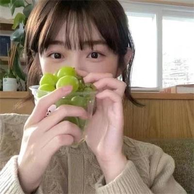 狮子护卫队第一季